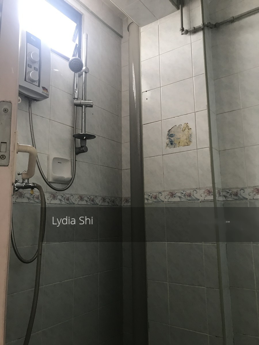 Blk 10 Selegie Road (Central Area), HDB 3 Rooms #155446482